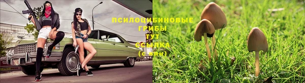 меф Касимов